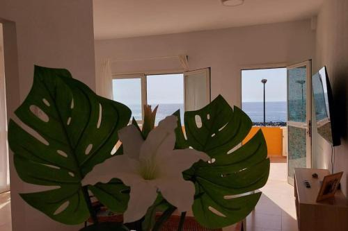 Puerto de Guimar Apartamento | La Marea Baja