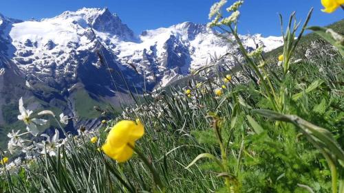 La Grave Apartamento | La Meije