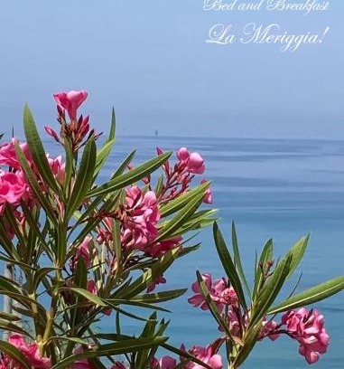 Marina di Pisciotta Cama Y Desayuno | La Meriggia B&B