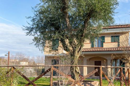 Morrovalle Casa | La Merlana affittacamere