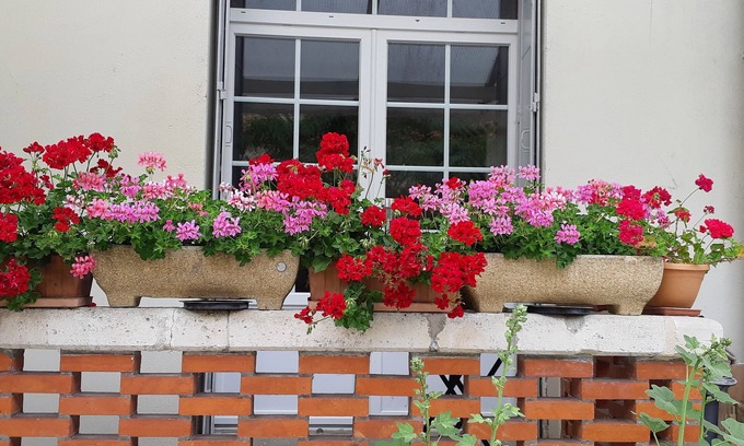 Mirambeau Casa | La Miramboise