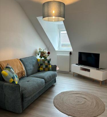 Mulhouse Apartamento | La Mulhousienne F3 Centre ville