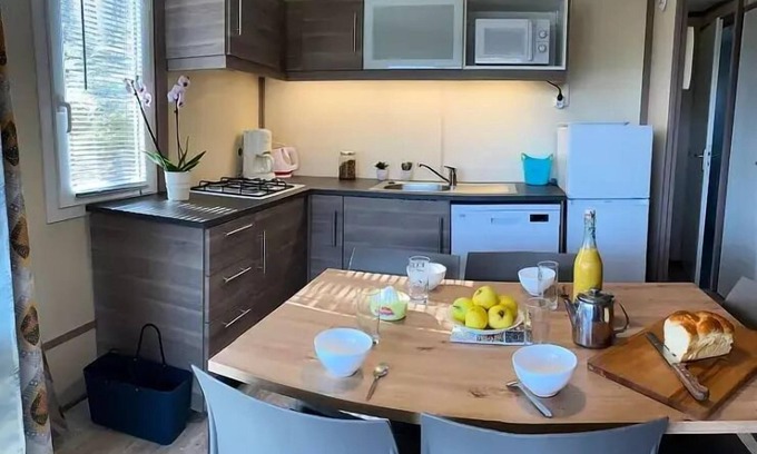 Daglan Chalet De Esquí | La Peyrugue Campsite *** - Chalet RÊVE +: air conditioning - dishwasher - 2 bedrooms - 2 Chilean deckchairs - Covered terrace for 5 people