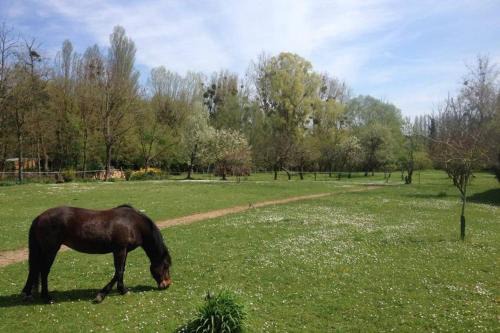 Montigny-sur-Loing Apartamento | La Pierre Levée