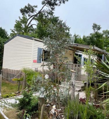 Camiers Otro | La Pinède Ensoleillée au Camping La Dune Blanche