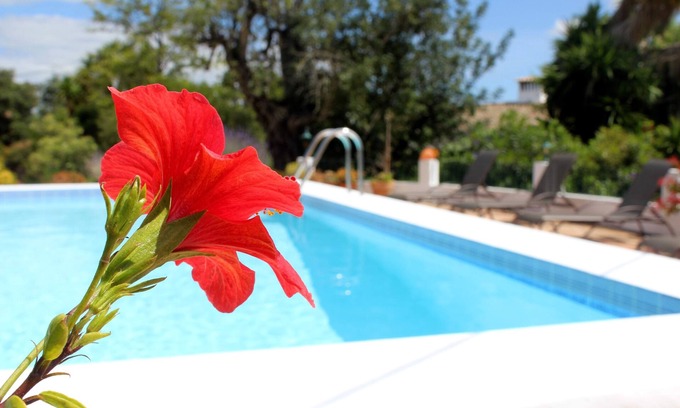 Apra Casa | La Quinta: Private property with swimming pool
