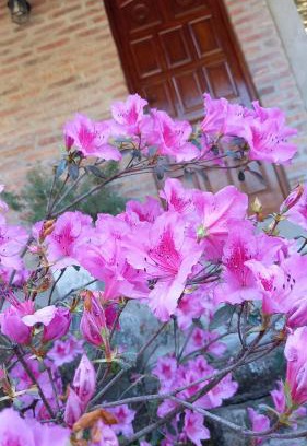 Villa La Bolsa Chalet De Esquí | la riviere