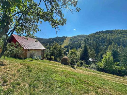 Garda de Sus Chalet De Esquí | La Sava lui Traian