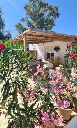 Alhaurín el Grande Apartamento | La Sureña