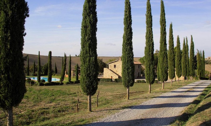Gallina Casa | La Tana del Bianconiglio