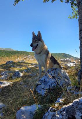 Terminillo Apartamento | La tana del lupo Pet Free