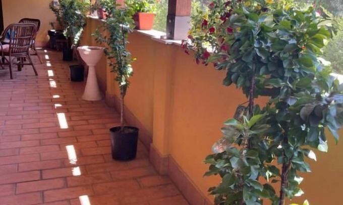 Santa Maria degli Angeli Casa | La terrazza dei ciliegi