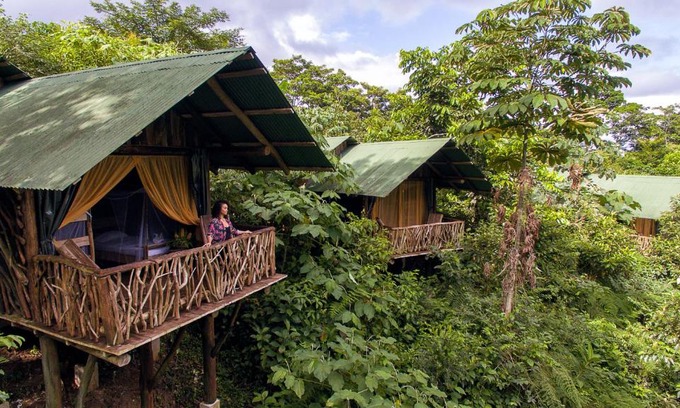 La Tigra Cabina | La Tigra Rainforest Lodge