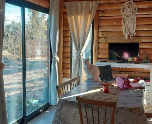 Rama Caída Chalet De Esquí | La Victoria Cabaña San Rafael Mendoza