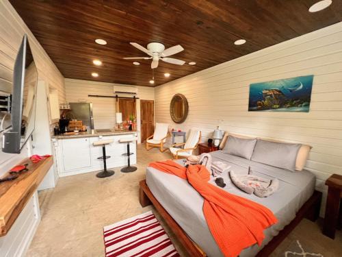 Caribbean Way Casa | La Vida Belize - Studio