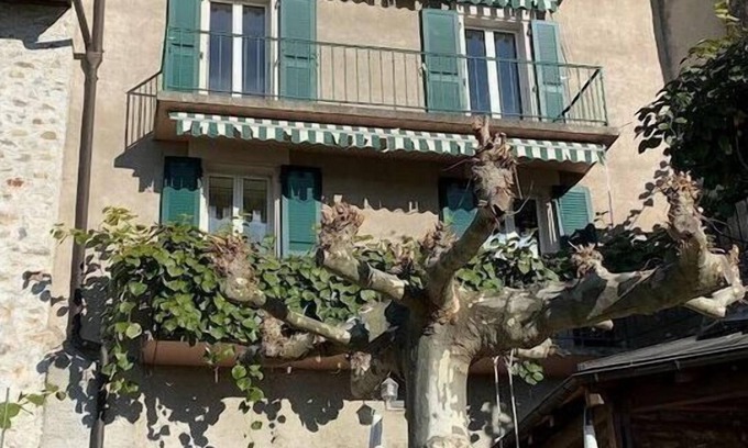 Arlesheim Casa | La Vigneronne, Vista al lago