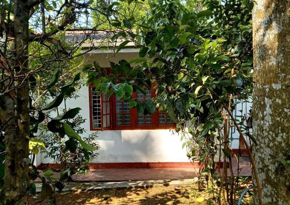 Patuwatha Casa | La Vivente Beach