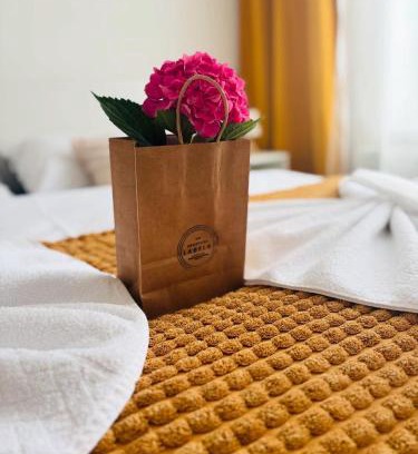 Luhacovice Apartamento | Labela Luhačovice Apartment