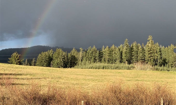 North Cowichan Otro | LACEY MEADOWS Acreage