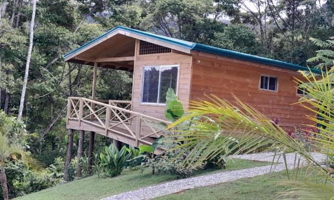 Ballena Casa | Lado Natura