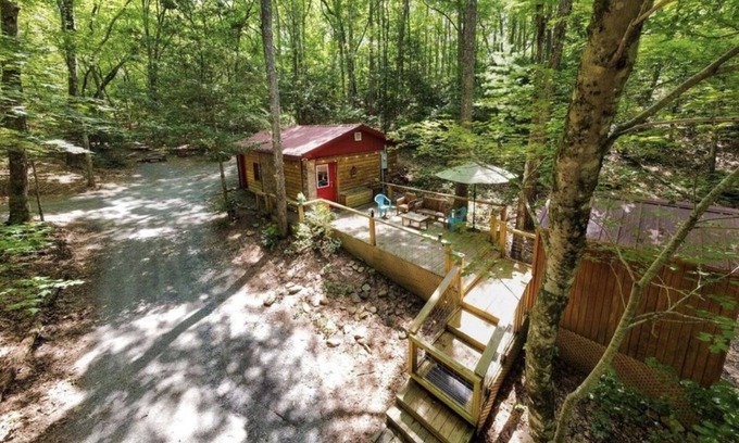Murphy Cabina | Ladybird's Lodge - dog friendly
