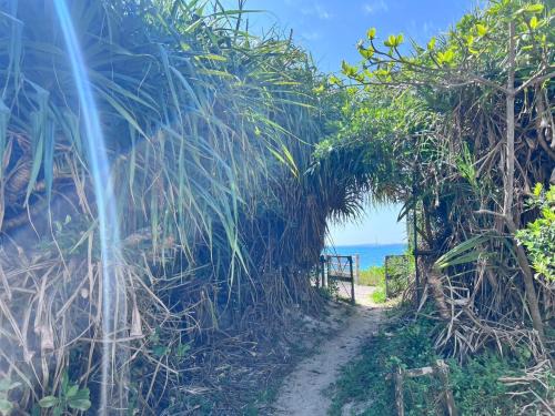 Kin Villa | LAGUNA OKINAWA Beachfront YAKA