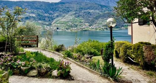 Ischia Apartamento | Lake Apartment Ischia Green