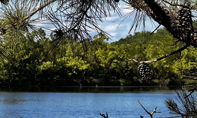 Brixey Casa | Lake Longbow-10 acre STOCKED lake, 80 acres, 4-wheeler/walking trails, swimming