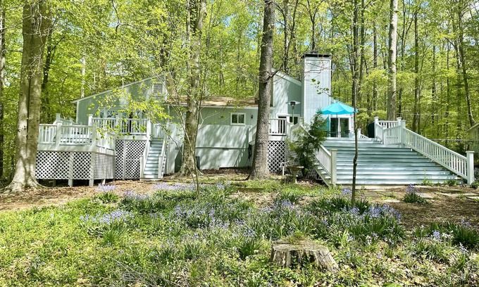 Hillsborough Cabaña | Lake Overlook Retreat - 5 acre nature preserve near the Eno River, UNC & Duke