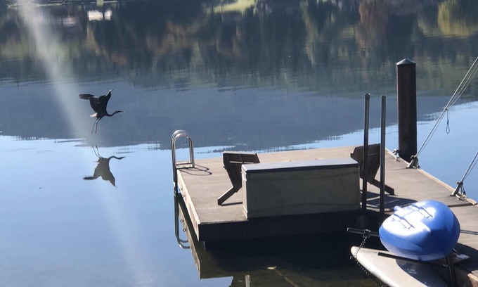 Bellingham Casa | Escapada al lago Samish cerca de la montaña Galbraith, Chuckanut y el histórico Fairhaven
