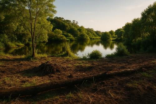 Hibiscus Coast Otro | Lake side Caravan site - 1500 square meters of nature & private fishing