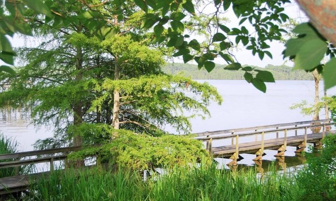 Ferriday Cabaña | Lake St John Tranquil Escape