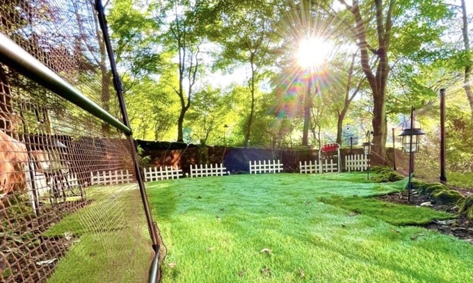 Kitasaku-gun Cabaña | Lake View! Dog-Friendly Trip/Cottage with Dog Run/Well-Equipped Kitchen