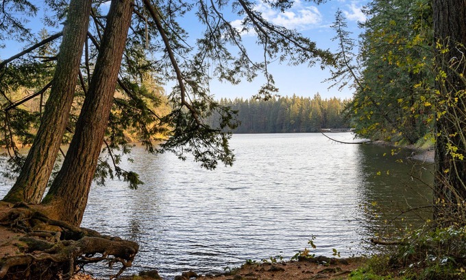 Carver Casa | Lake View House with Beautiful 4.5 Acres to Explore