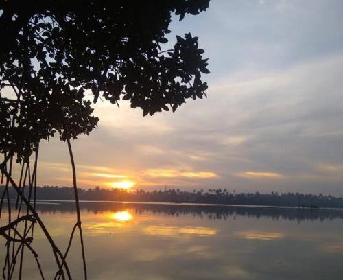 Kuzhuppilly Cama Y Desayuno | Lakefront Beach Homes
