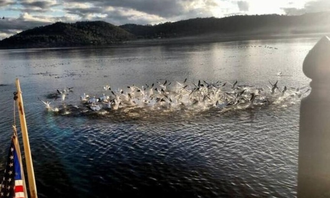 Clearlake Park Casa | Lakefront Guest Suite with Spa and Dock