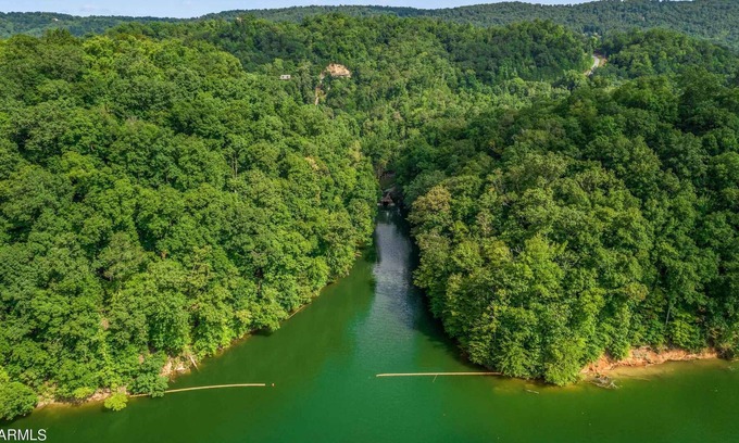 Tazewell Casa | Lakefront log home with private dock and cove