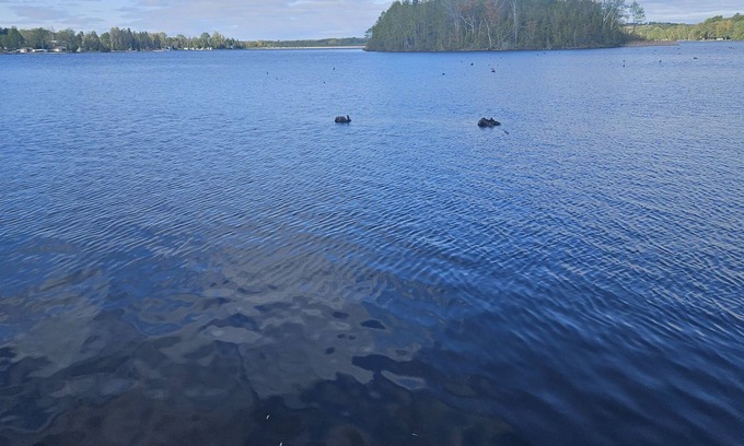 Victoria Road Casa | Lakefront trailer for rent, in Kawthra Lakes, on 1 acre of land