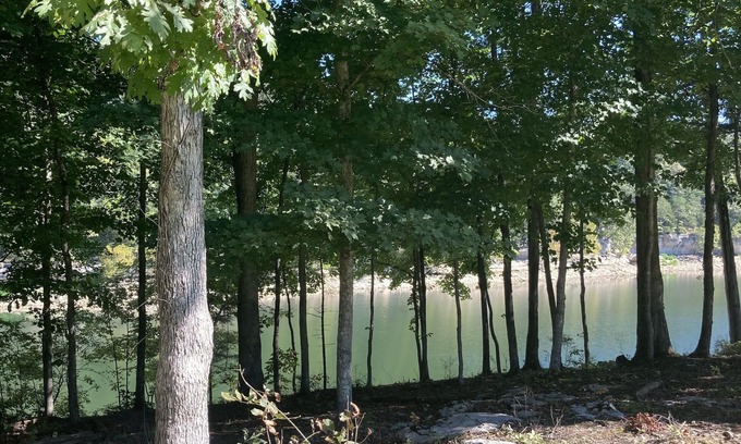 Sloans Valley Casa | Lakeside Hideaway II - lakefront with hot tub / walk to boat ramp