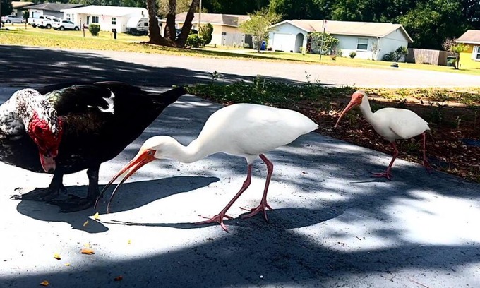 Lakeland Casa | Lakeside retreat - 3 Bedroom, 2 Bathroom house by the lake