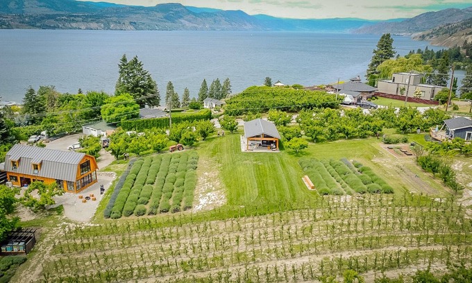 Okanagan-Similkameen Cabaña | Casa Lakeview en el huerto. Camina hacia el lago y la aldea. Vino, cena, juega, relájate.