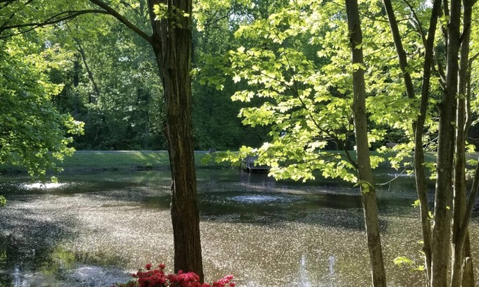 Burke Apartamento | Lakeview - Tranquille and private suite Located 20 minutes from D.C