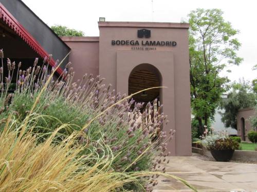 Cuyo Cama Y Desayuno | Lamadrid Guest House