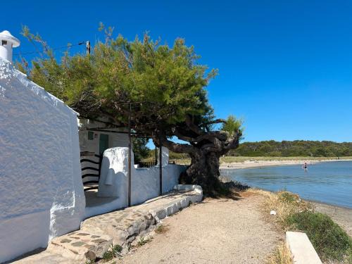 Es Grau Apartamento | Lamorino una casa en la playa