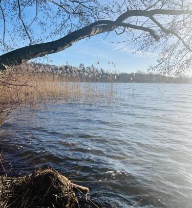 Ponitz am See Apartamento | Landhaus am See App. 2