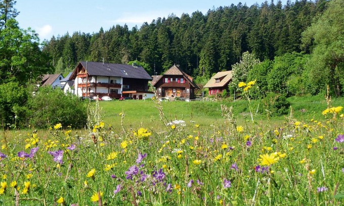 Lauterbad Apartamento | Landhaus Anja