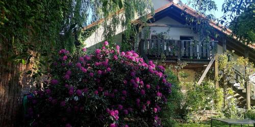Bulstedt Apartamento | Landidyll