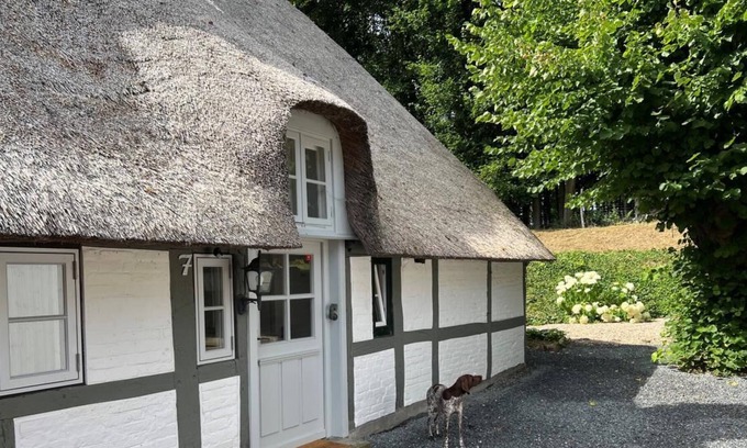 Rieseby Cabaña | Landidyll Unter Reet in Schleinähe