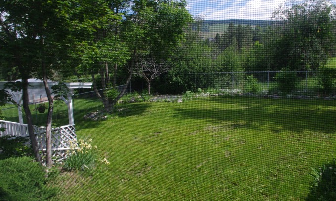 Central Okanagan Casa | Large 4+ bdrm Home, Pet Friendly Games room kid friendly, 2 Kitchens.