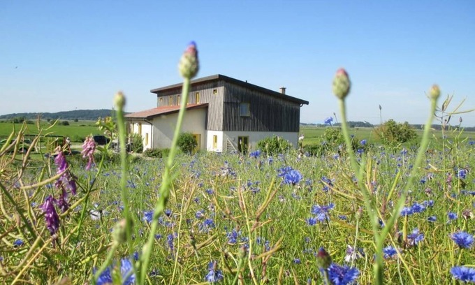 Wolgast Apartamento | Large apartment with a view of Usedom and Achterwasser on the nature reserve